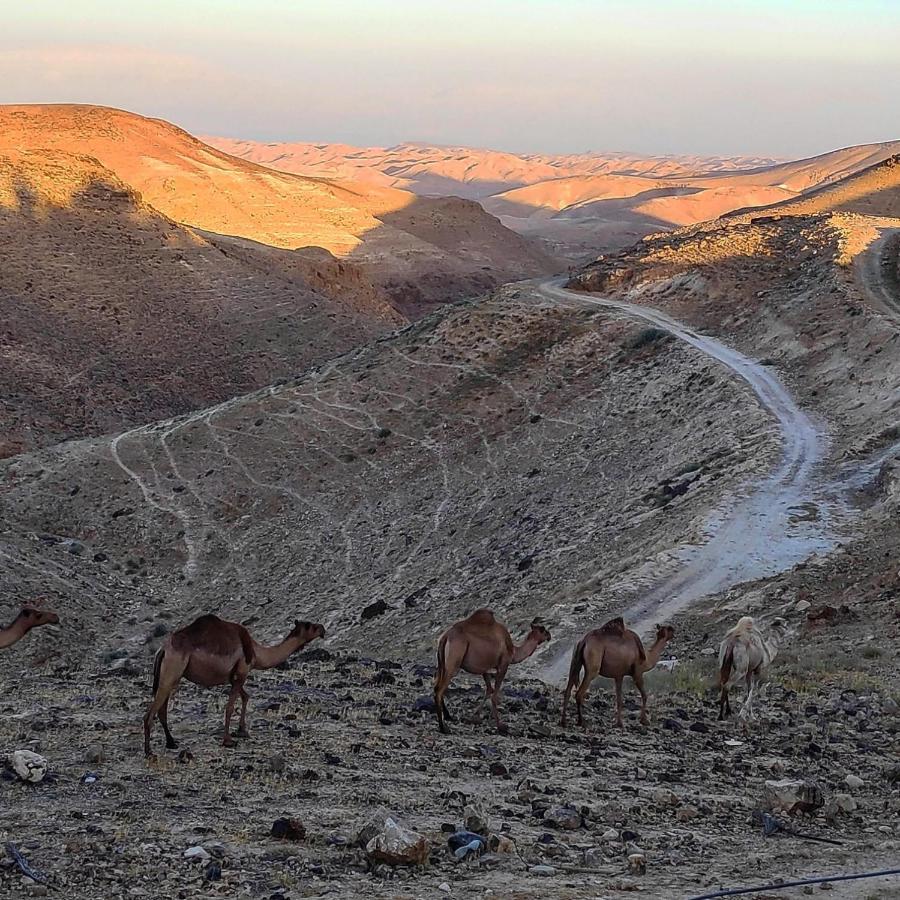 Dead Sea Desert'S Edge Arad Esterno foto