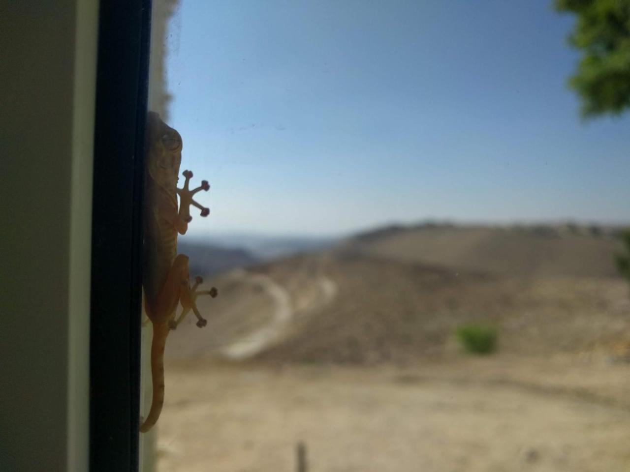 Dead Sea Desert'S Edge Arad Esterno foto