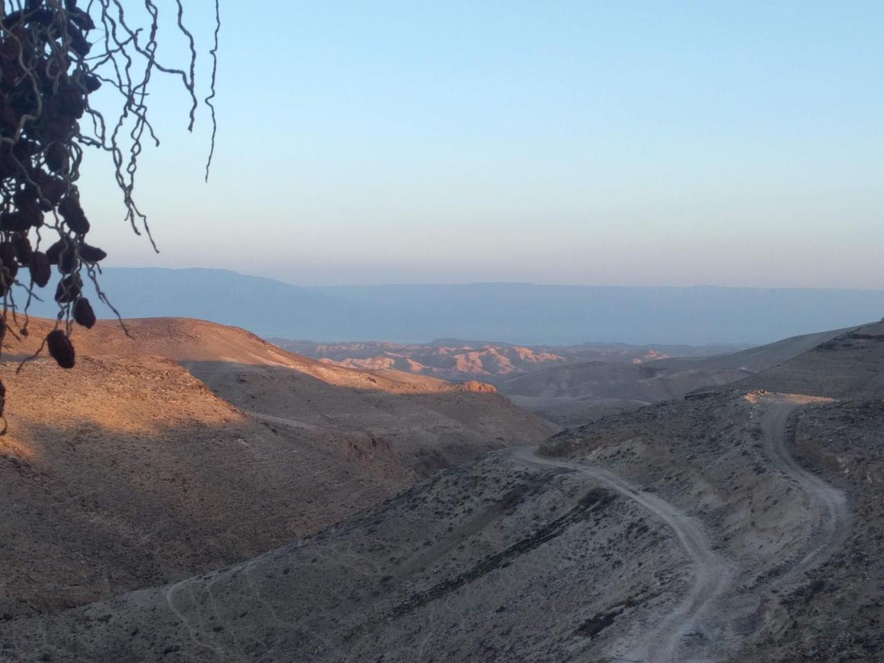 Dead Sea Desert'S Edge Arad Esterno foto